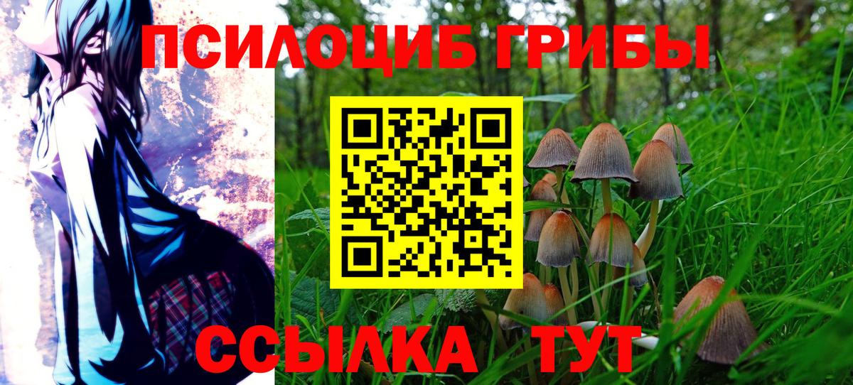 Астрахань  Галлюциногенные грибы MAGIC MUSHROOMS  где найти   Вход с VPN  Галлюциногенные грибы мицелий 