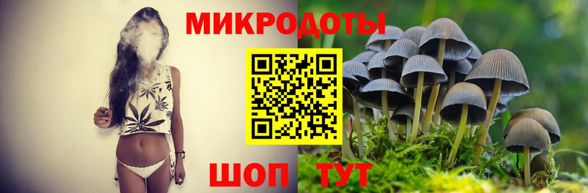 Галлюциногенные грибы MAGIC MUSHROOMS Астрахань